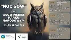 Plakat reklamujący wydarzenie "Noc sów" w Słowińskim Parku Narodowym